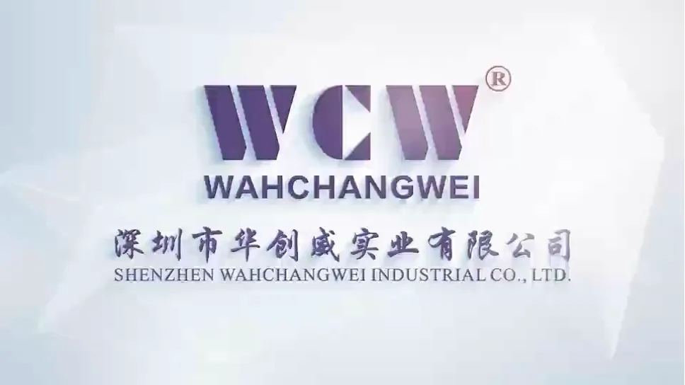 Company introduction video preview